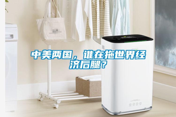 中美兩國，誰在拖世界經濟后腿？