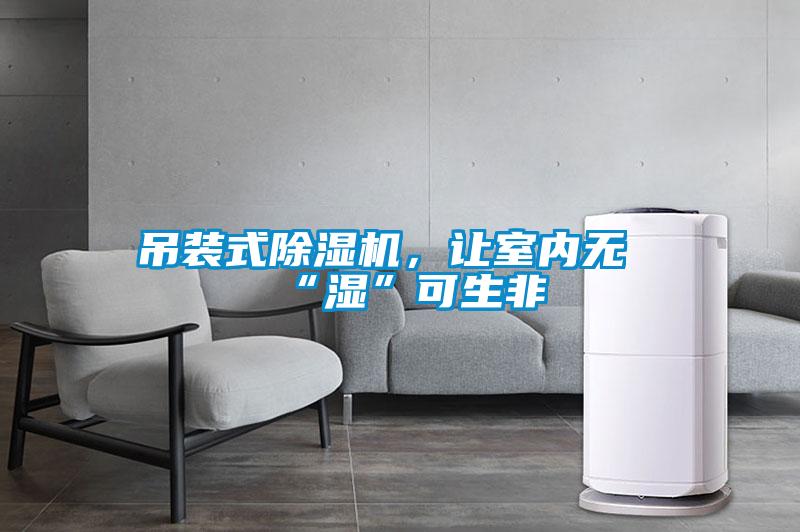 吊裝式除濕機(jī),讓室內(nèi)無(wú)“濕”可生非