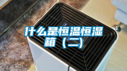 什么是恒溫恒濕箱(二)