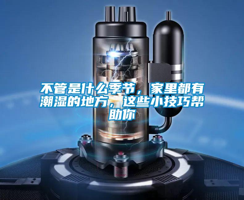 不管是什么季節(jié)，家里都有潮濕的地方，這些小技巧幫助你