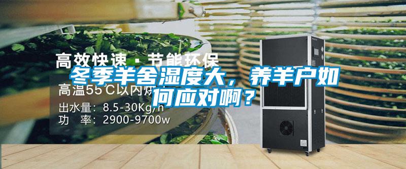 冬季羊舍濕度大，養(yǎng)羊戶如何應(yīng)對?。?/></p>
						    <p style=