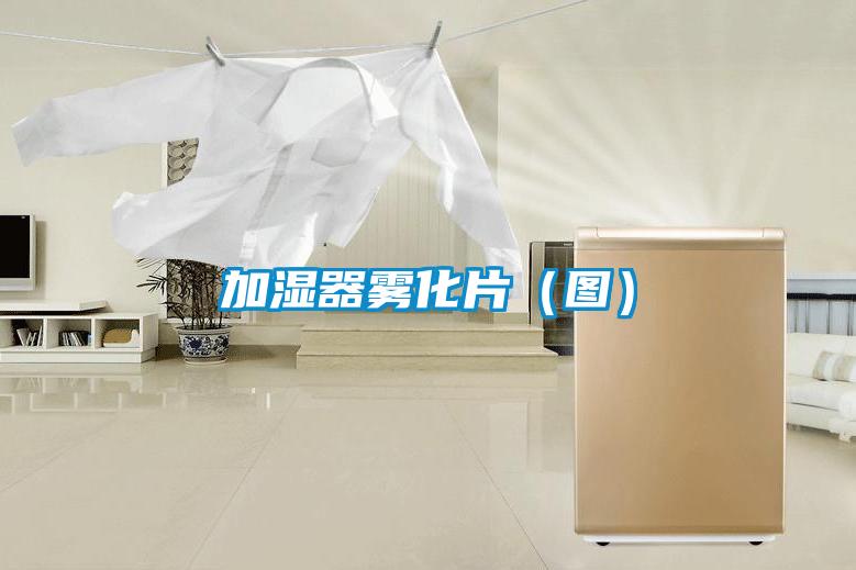 加濕器霧化片(圖)