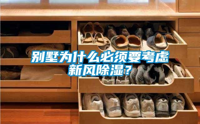 別墅為什么必須要考慮新風除濕？