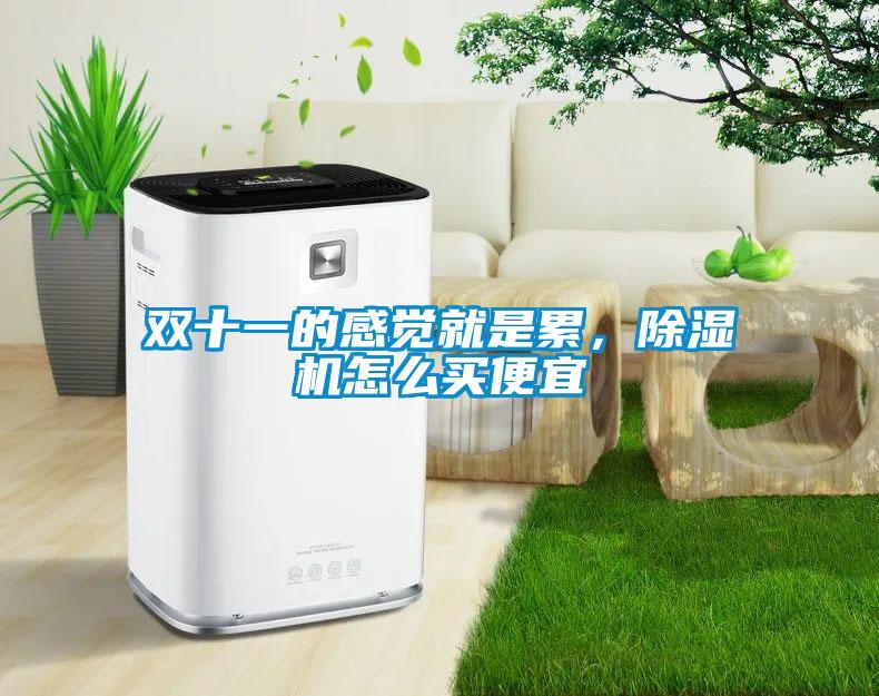 雙十一的感覺(jué)就是累，除濕機(jī)怎么買便宜