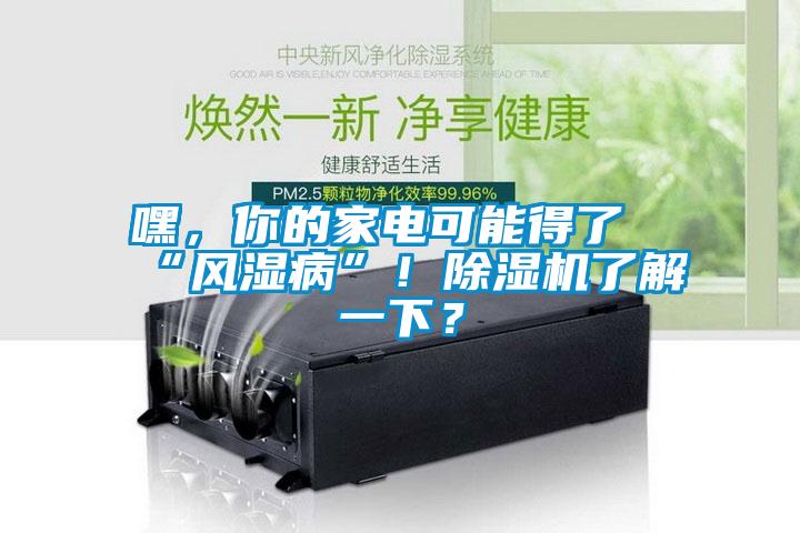 嘿，你的家電可能得了“風濕病”！除濕機了解一下？