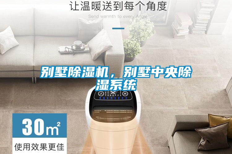 別墅除濕機，別墅中央除濕系統