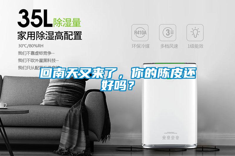 回南天又來了，你的陳皮還好嗎？