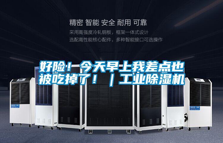 好險！今天早上我差點也被吃掉了?。I除濕機