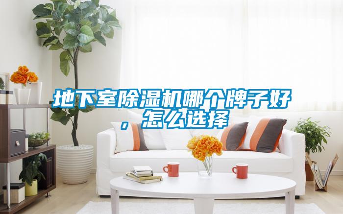 地下室除濕機哪個牌子好，怎么選擇