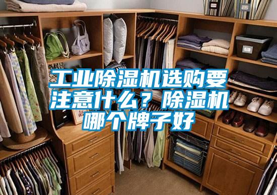 工業(yè)除濕機選購要注意什么？除濕機哪個牌子好