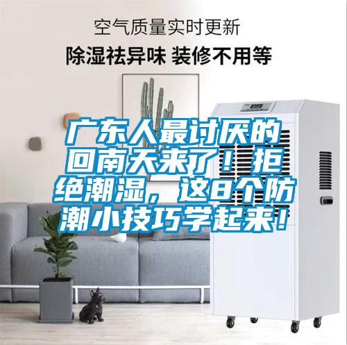 廣東人最討厭的回南天來了！拒絕潮濕，這8個防潮小技巧學起來！