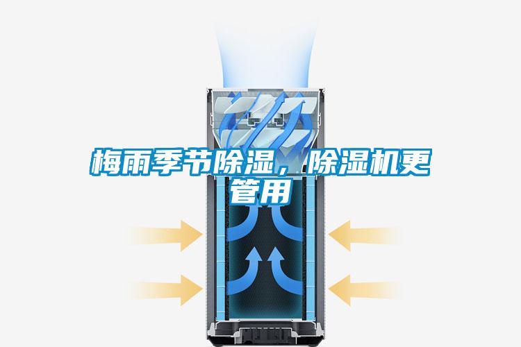 潮濕危害木地板 請用除濕機(jī)防范