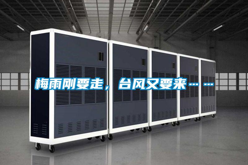 梅雨剛要走,臺風(fēng)又要來……