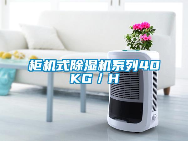 柜機(jī)式除濕機(jī)系列40KG/H