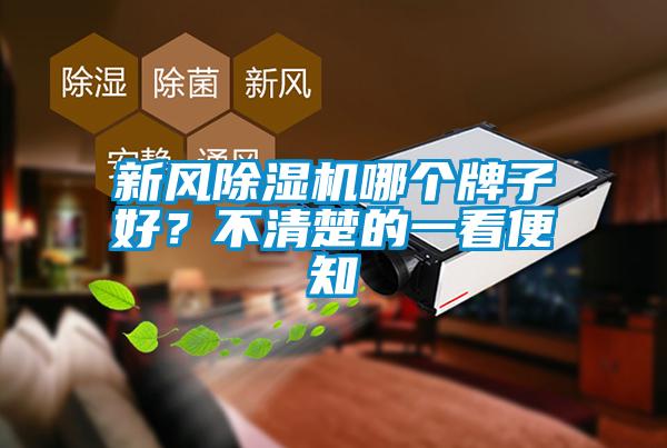 新風除濕機哪個牌子好？不清楚的一看便知