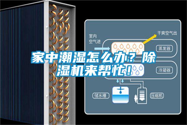 家中潮濕怎么辦?除濕機來幫忙!