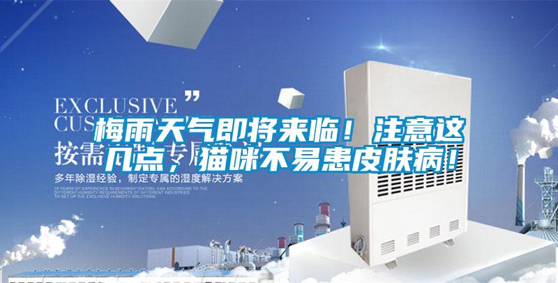 梅雨天氣即將來臨！注意這幾點(diǎn)，貓咪不易患皮膚病！