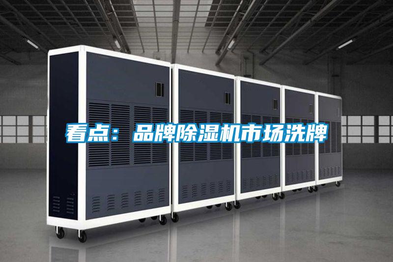 看點(diǎn):品牌除濕機(jī)市場(chǎng)洗牌