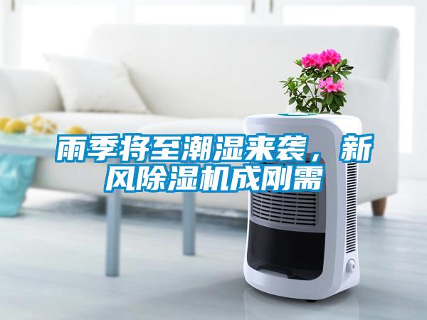 雨季將至潮濕來襲,新風除濕機成剛需