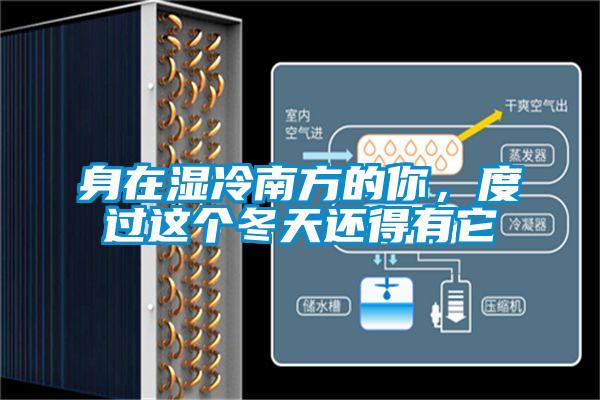 身在濕冷南方的你,度過(guò)這個(gè)冬天還得有它