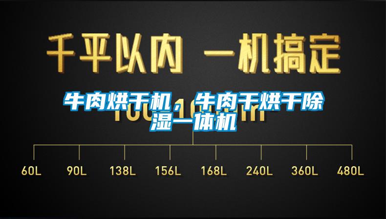 牛肉烘干機(jī),牛肉干烘干除濕一體機(jī)