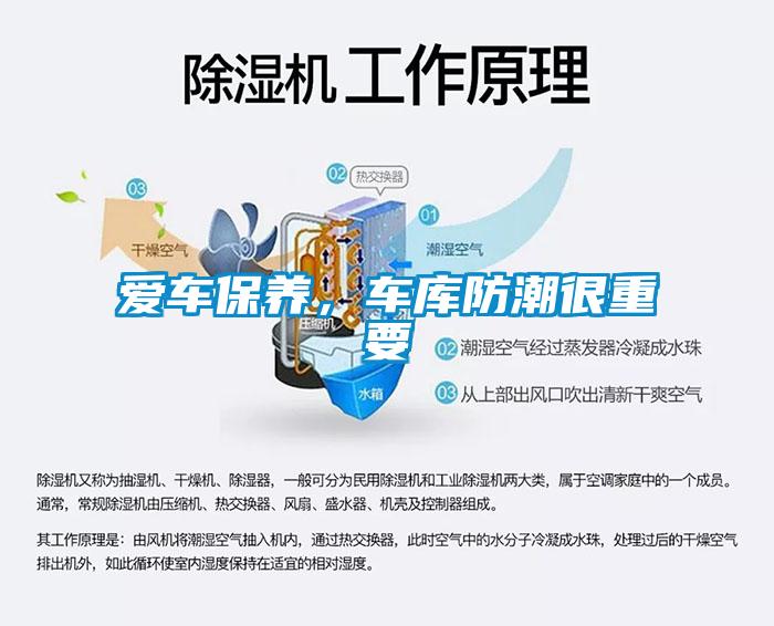 愛車保養，車庫防潮很重要