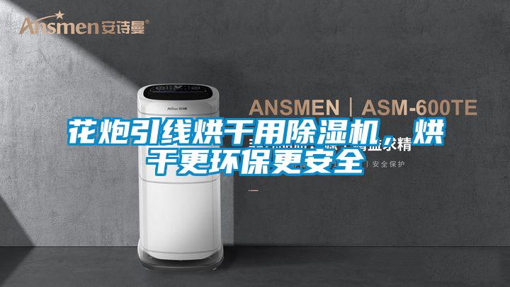 花炮引線烘干用除濕機，烘干更環保更安全