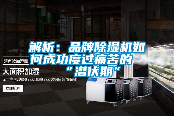 解析:品牌除濕機如何成功度過痛苦的“潛伏期”