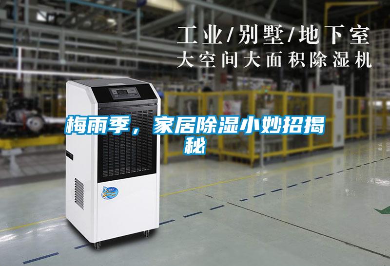 梅雨季，家居除濕小妙招揭秘