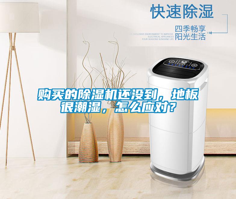 購(gòu)買(mǎi)的除濕機(jī)還沒(méi)到,地板很潮濕,怎么應(yīng)對(duì)?