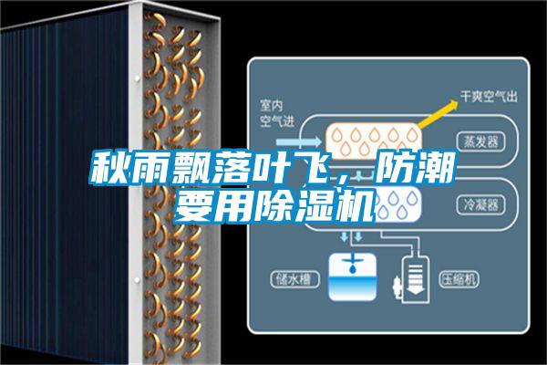 秋雨飄落葉飛，防潮要用除濕機