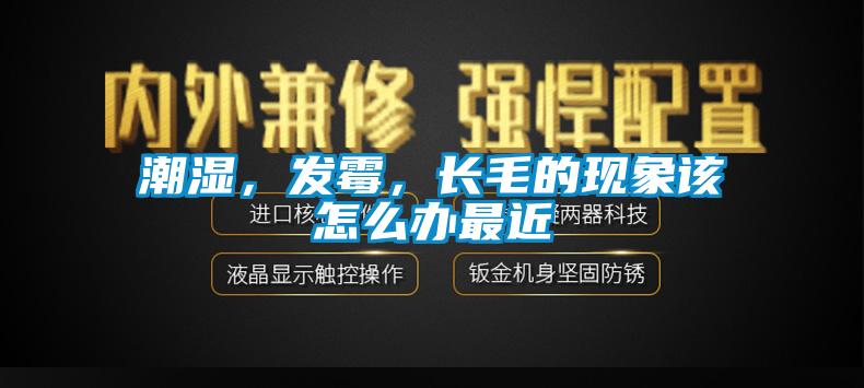 潮濕，發(fā)霉，長(zhǎng)毛的現(xiàn)象該怎么辦最近