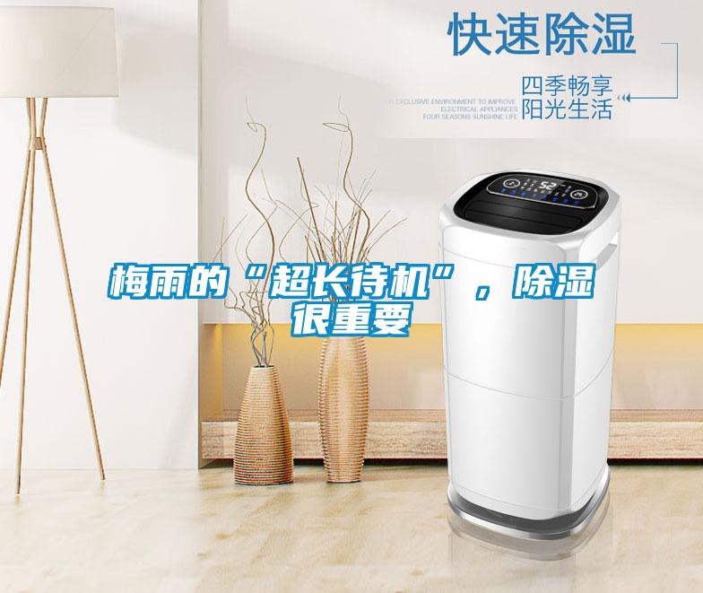 梅雨的“超長待機”，除濕很重要