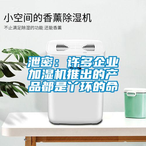泄密:許多企業加濕機推出的產品都是丫環的命