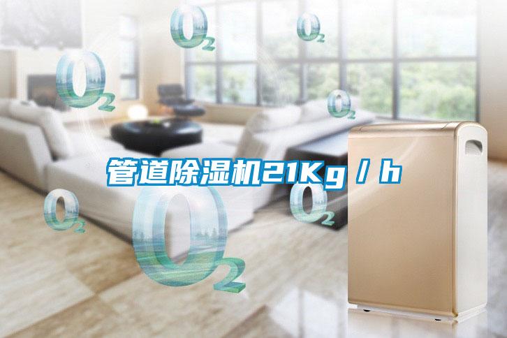 管道除濕機21Kg/h