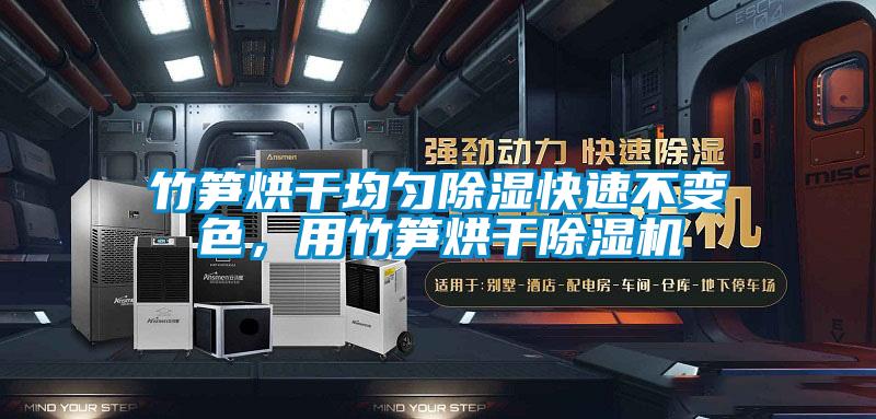 竹筍烘干均勻除濕快速不變色,用竹筍烘干除濕機