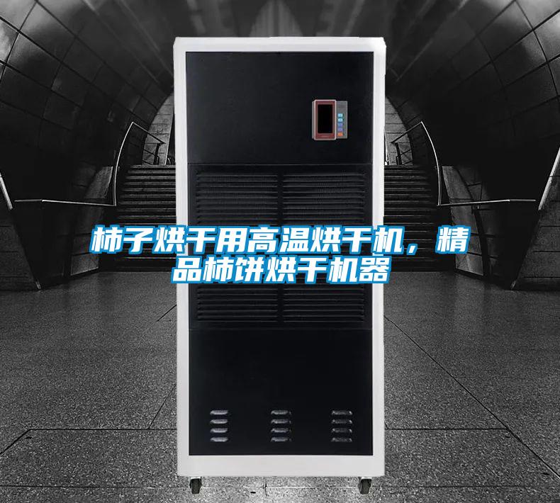 柿子烘干用高溫烘干機(jī),精品柿餅烘干機(jī)器