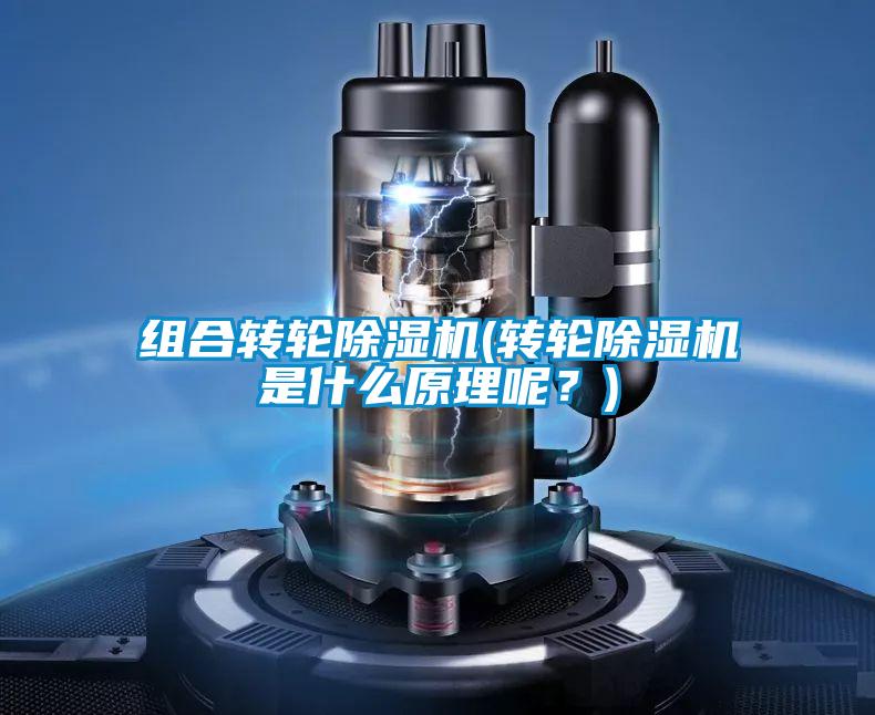 組合轉輪除濕機(轉輪除濕機是什么原理呢？)