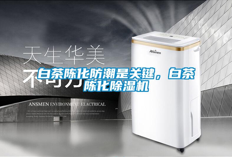 白茶陳化防潮是關鍵,白茶陳化除濕機