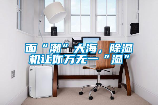 面“潮”大海，除濕機(jī)讓你萬(wàn)無(wú)一“濕”