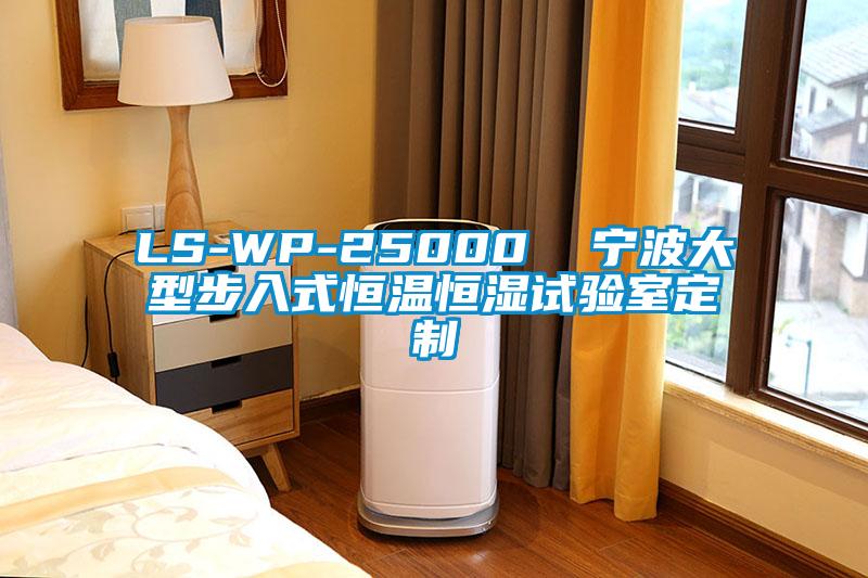 LS-WP-25000 寧波大型步入式恒溫恒濕試驗(yàn)室定制