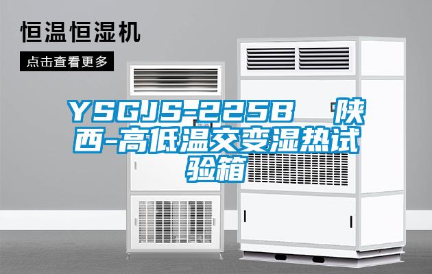 YSGJS-225B 陜西-高低溫交變濕熱試驗(yàn)箱