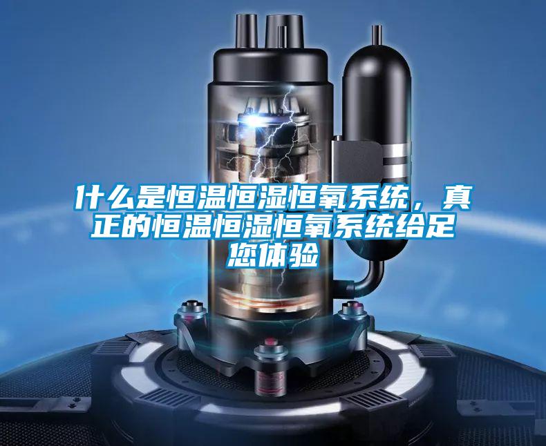 什么是恒溫恒濕恒氧系統(tǒng),真正的恒溫恒濕恒氧系統(tǒng)給足您體驗(yàn)