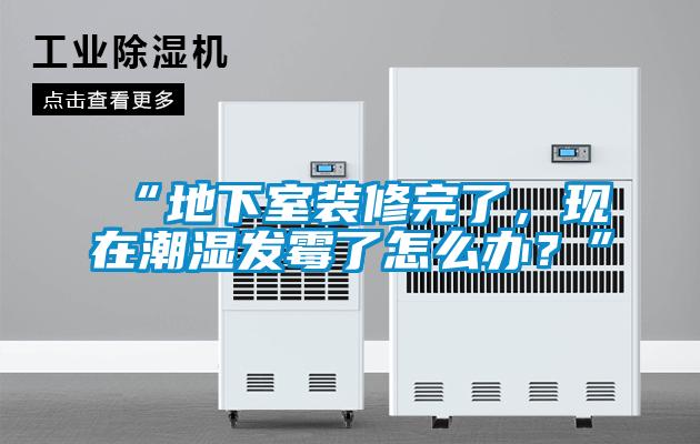 “地下室裝修完了，現在潮濕發霉了怎么辦？”