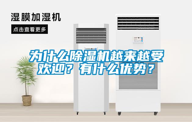 為什么除濕機越來越受歡迎？有什么優勢？