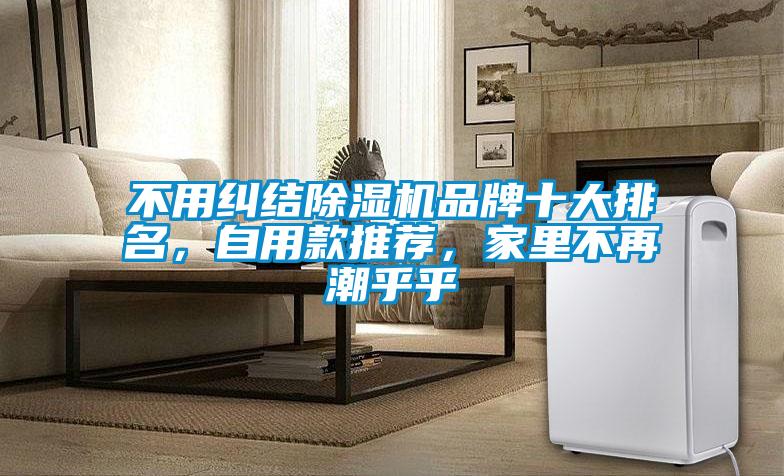 不用糾結除濕機品牌十大排名，自用款推薦，家里不再潮乎乎