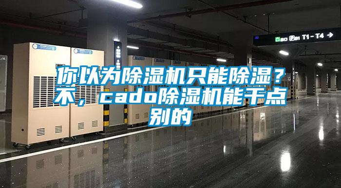 你以為除濕機只能除濕?不,cado除濕機能干點別的