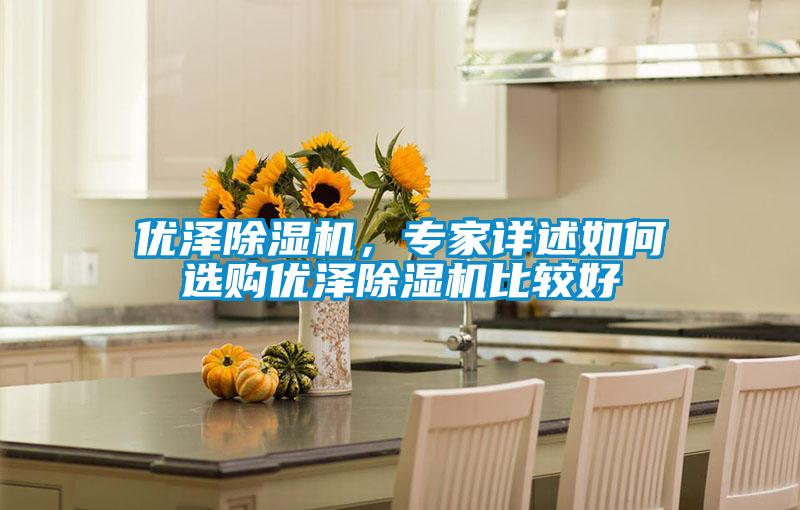 優(yōu)澤除濕機(jī)，專家詳述如何選購優(yōu)澤除濕機(jī)比較好