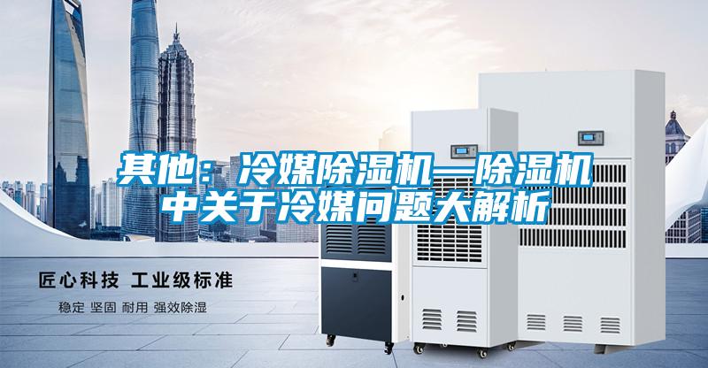 其他:冷媒除濕機(jī)—除濕機(jī)中關(guān)于冷媒問題大解析