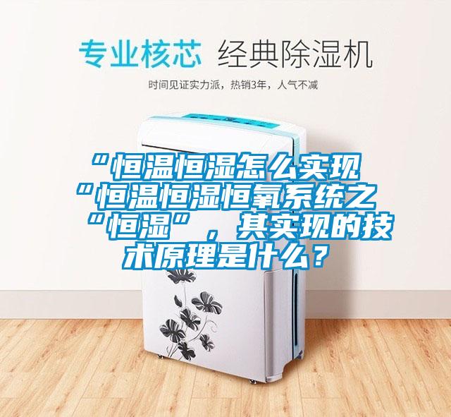 “恒溫恒濕怎么實現(xiàn)“恒溫恒濕恒氧系統(tǒng)之“恒濕”,其實現(xiàn)的技術原理是什么?
